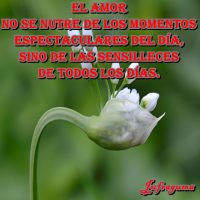 /album/fotogaleria/el-amor4-png/